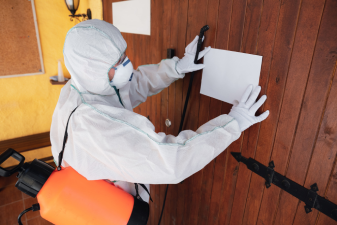 5 Reasons Why You Should Have Regular Pest Inspection