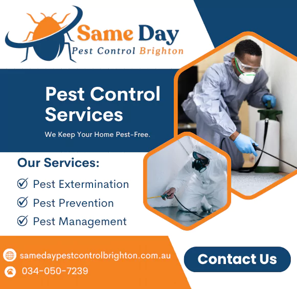 Pest Control Brighton